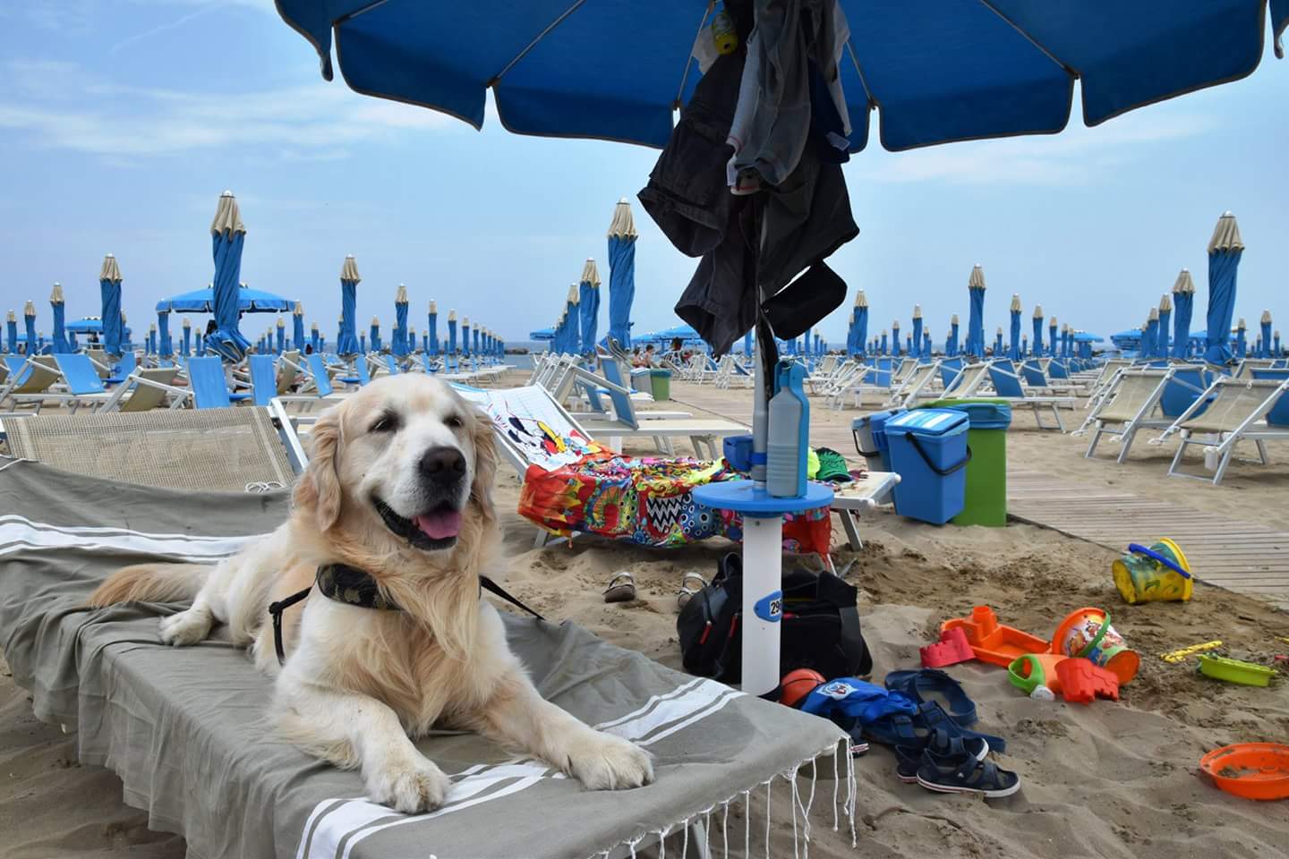 URLAUB IN ITALIEN MIT DEM HUND