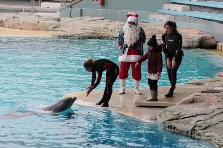 I parchi divertimento della Riviera a Capodanno