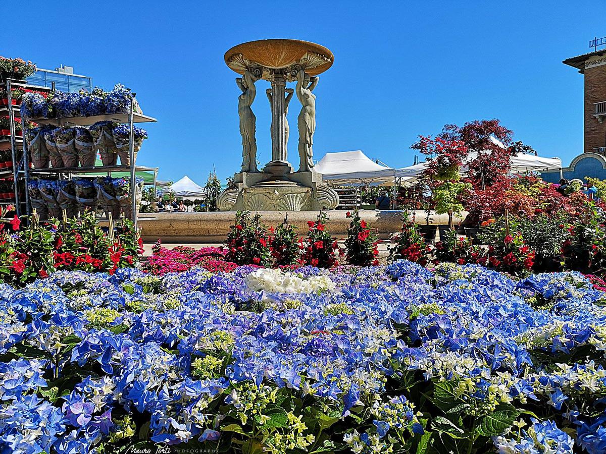 FESTA DEI FIORI
